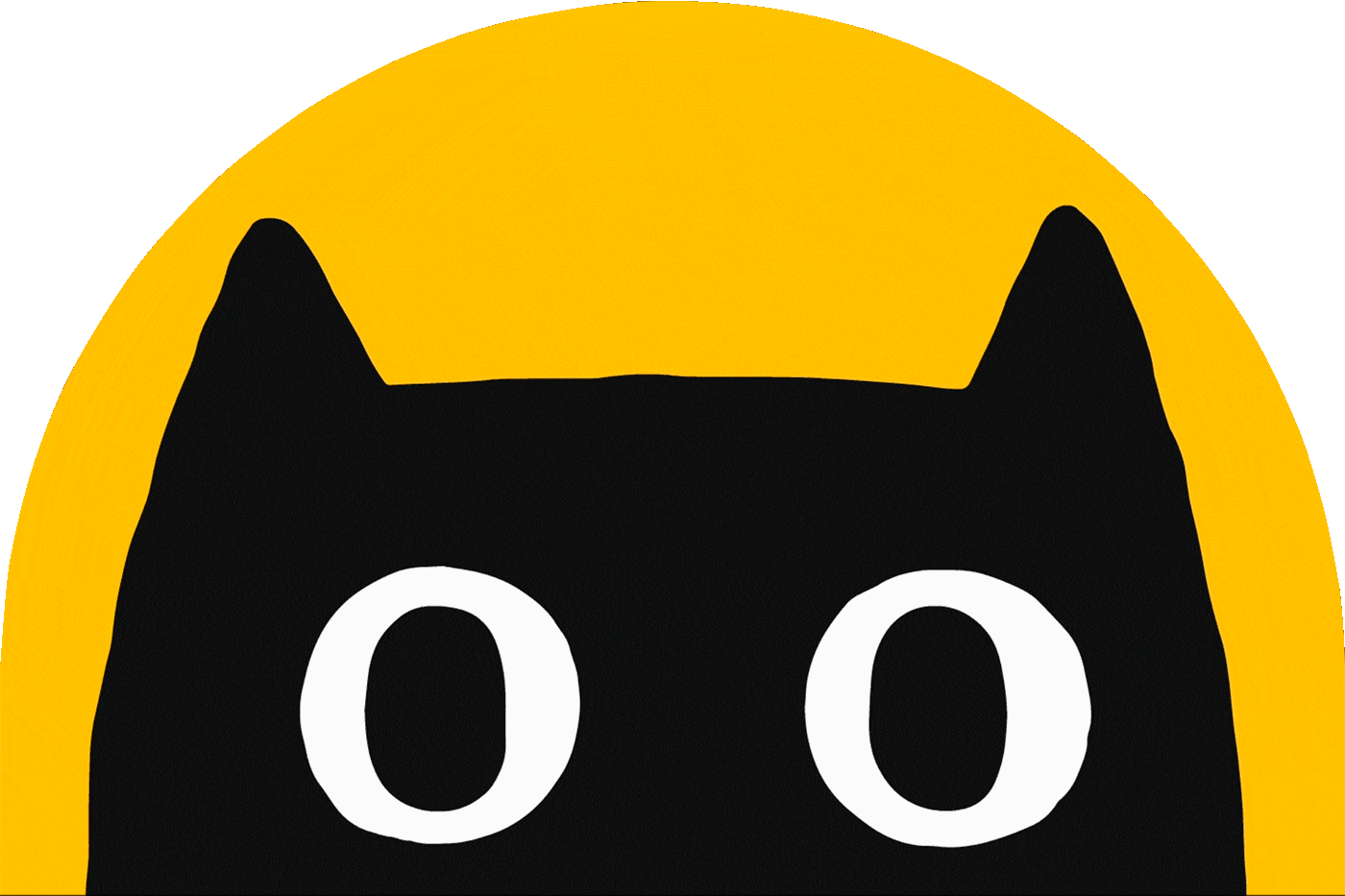 cat animation