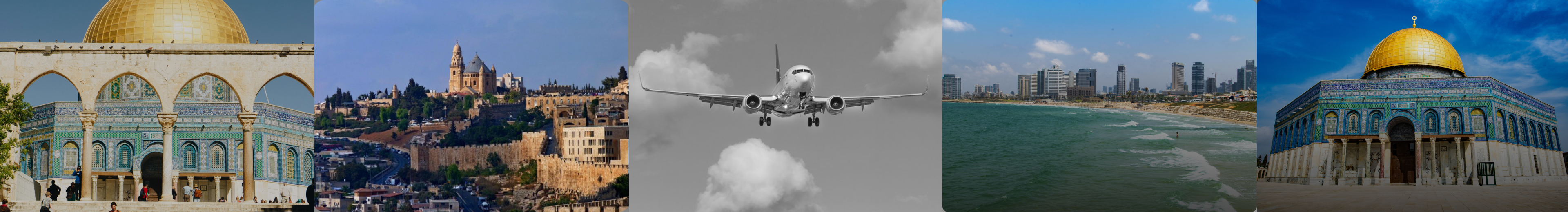 header top images.png